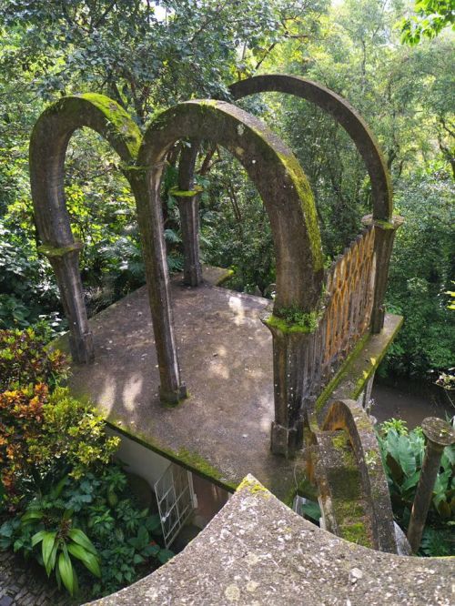 Porn voiceofnature: Amazingly surreal Las Pozas photos