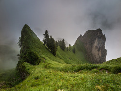 upclosefromafar:  persolum:  Appenzellerland