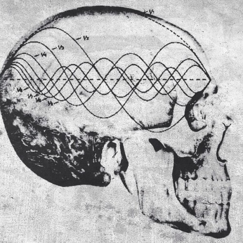 hexappealclothing:Music Minded #vibration #skull #frequency #sacredgeometry