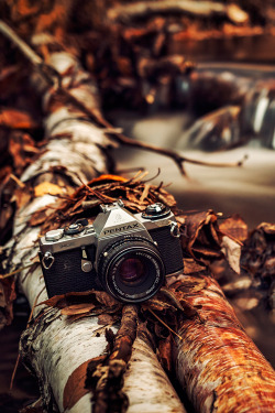 plasmatics-life:  { Pentax into the Wild } x Charles Schiele 