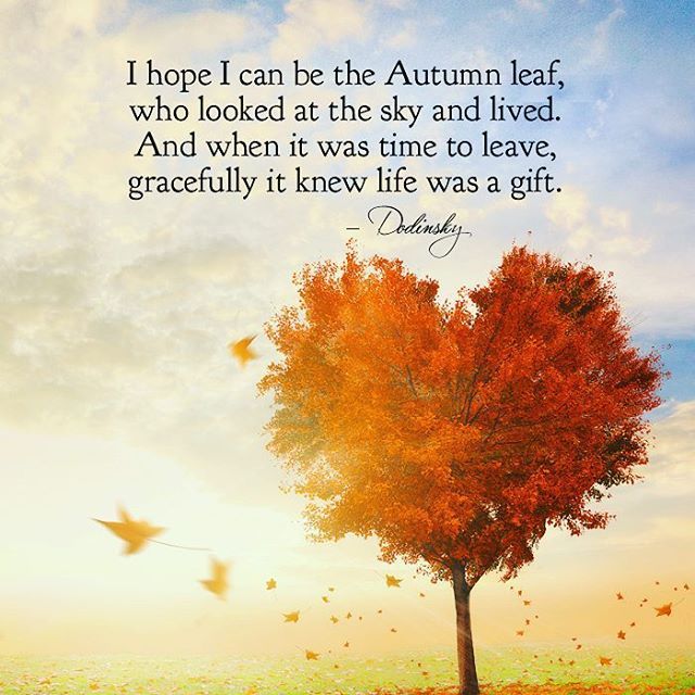 Positive Outlooks on Tumblr: Welcome Autumn. A new season, new beginnings. # fall #autumn #quotes #inspiration #book #positivethinking #positive