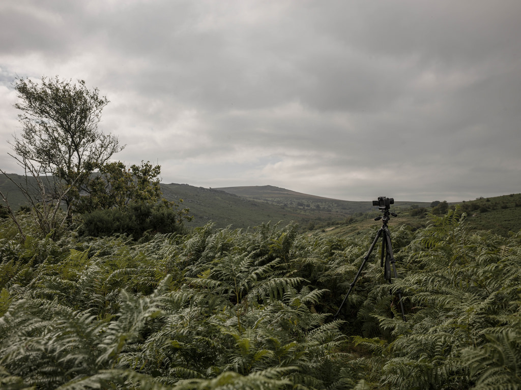 music video filming, 2014