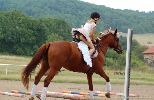 everwatchful: She couldn’t understand why horsey types always wore leggings, and insisted on w