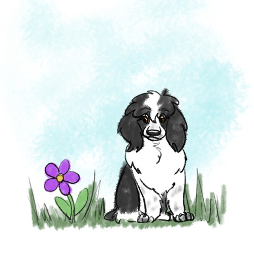 doomspaniels: thebrittanybrigade: So Im kinda doing Dogtober but Im kinda not at the same time lol.