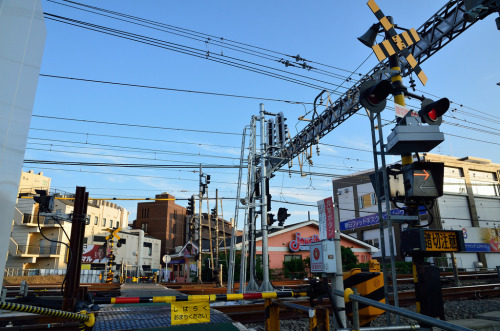 gairo:  Railroad Crossing at the West of Muko-ga-oka-yuen Station (by ykanazawa1999) 