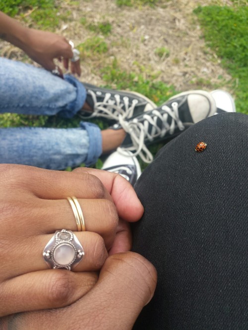 blackandinlove:midnight-sun-rising:vantablackorchid:mpr1m3:Bliss. tajajanel @mpr1m3 awwwwwww you guy