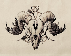 marijatiurina:  A drawing of the skull that