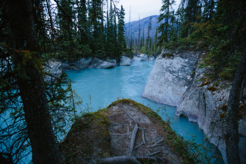 steveseeley: Kootenay River www.steveseeley.com