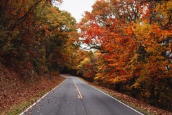 his-desert-rose:  // roads of autumn glory