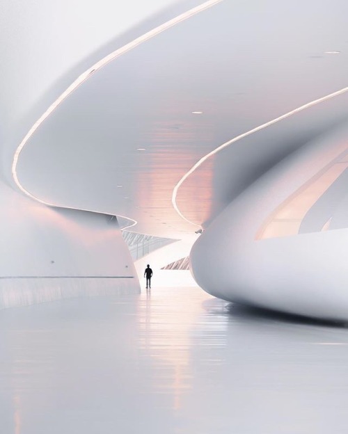 nexttoparchitects:  #Zaragoza Bridge Pavilion by #ZahaHadid Architects : @v14zco