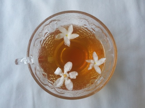throughtheyesofachild: tea is always a good idea!ig: @deeraria