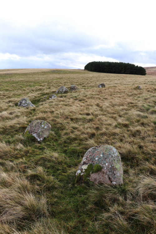 Oddendale Stone Circle, near Shap, Cumbria, Lake District, 4.11.17.This double lined stone circle si