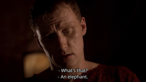 stupidtvquestions:Was she just making conversation, or did she really wonder if real elephants have 