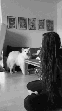 vegansunlover:🖤 cuddles with mister wang 🖤