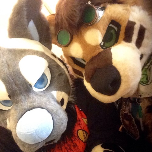 megahyena: Megabyte and rieoux were more than happy to represent the seadogsuits family at Califur! 