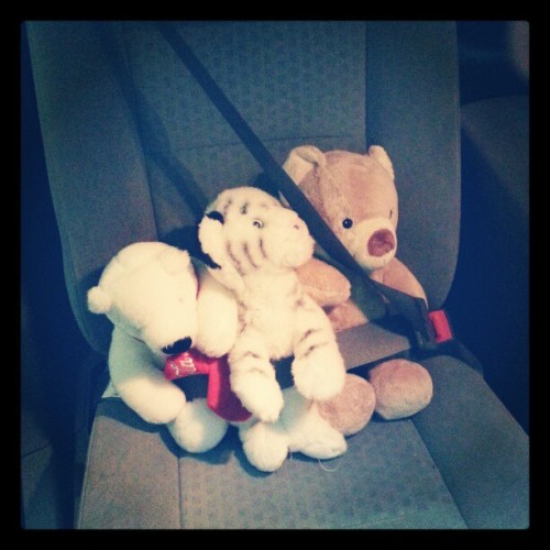 Apparently Coca Cola Bear, Teddy, And Jasper The Tiger Are All Buckled Up & Ready To Go To Church @bjackson010