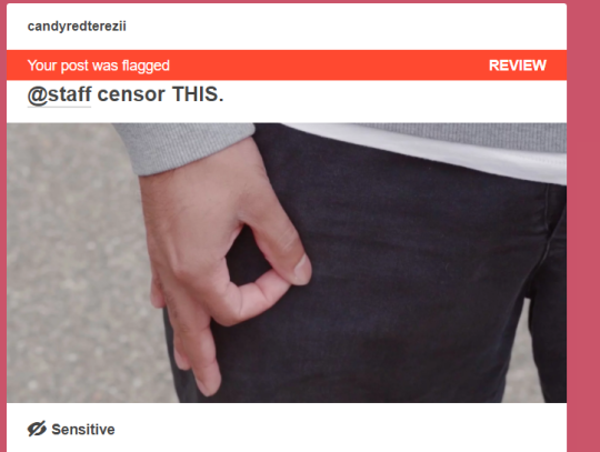 candyredterezii:  candyredterezii:  @staff censor THIS.  