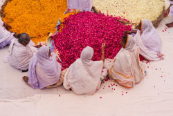 arjuna-vallabha:  Holi at Vrindavana photo by KrisgHariharan   