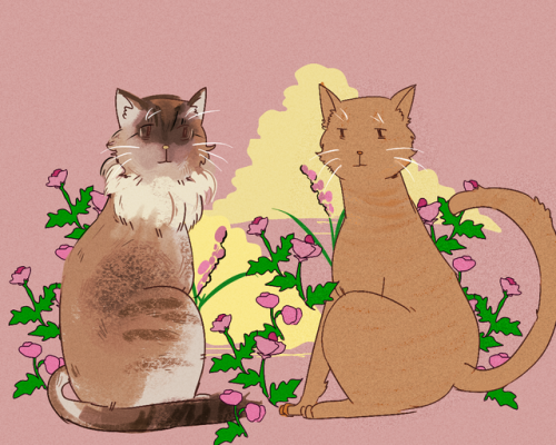 littlestpersimmon:Kitties I drew for some cool people. They’re 25 usd apiece so please feel free to 