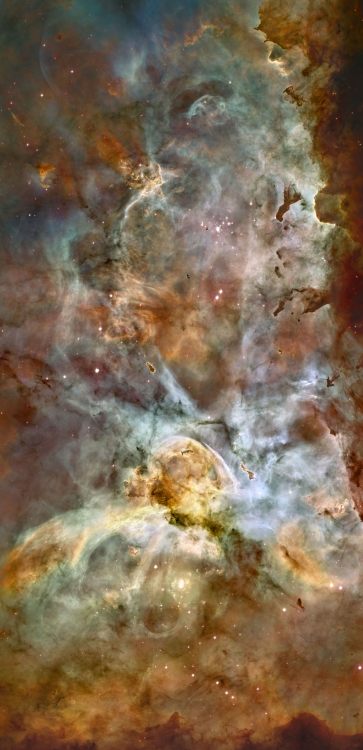 astronomicalwonders:  The Carina Nebula - A Birthplace Of Stars The Carina Nebula lies at an estimated distance of 6,500 to 10,000 light years away from Earth in the constellation Carina. This nebula is one of the most well studied in astrophysics and