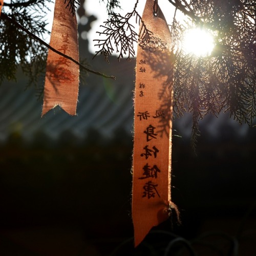 Photographs of Chinese temples. The first one is zhaitang（斋堂）which is vegetarian dining hall for mon