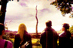 lanamparrillas:  Ouat + Scenerygasm requested by anonymous. 