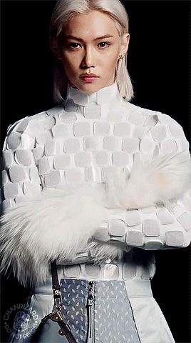 Felix X Louis Vuitton | Women's FW 2024 Show