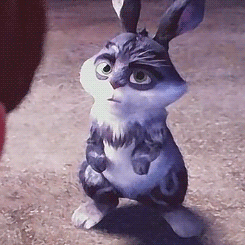loakspider:  Baby Bunnymund appreciation; more like adorable grumblebum I love how