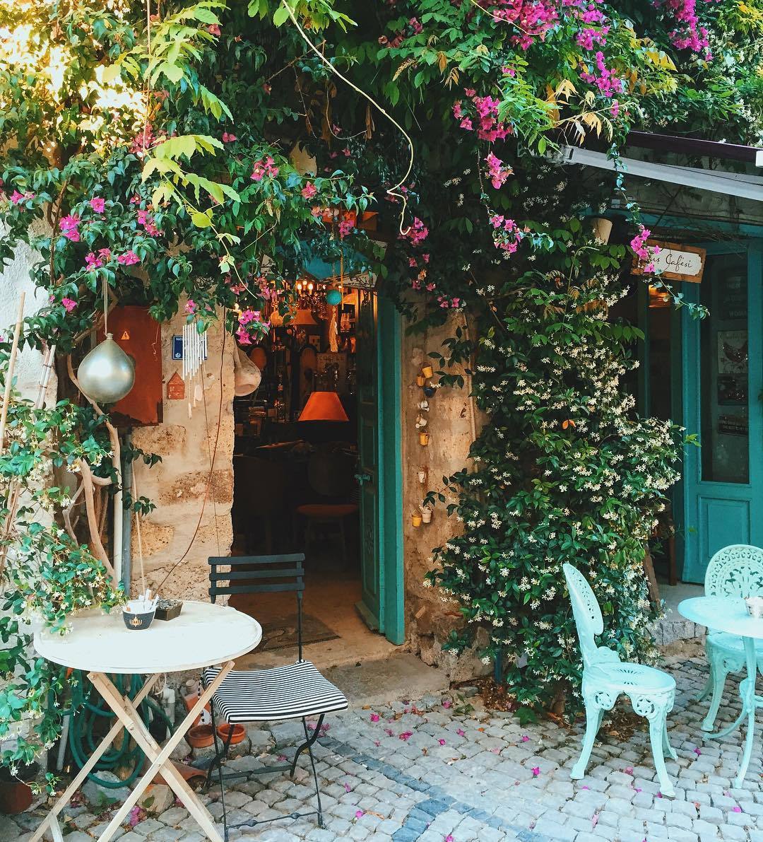 floralls:  Turkey by   ahmet.erdem  