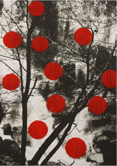 tndra:  Marion Strunk
