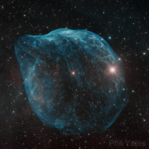 quiltofstars:  The Dolphin Head Nebula, Sh2-308