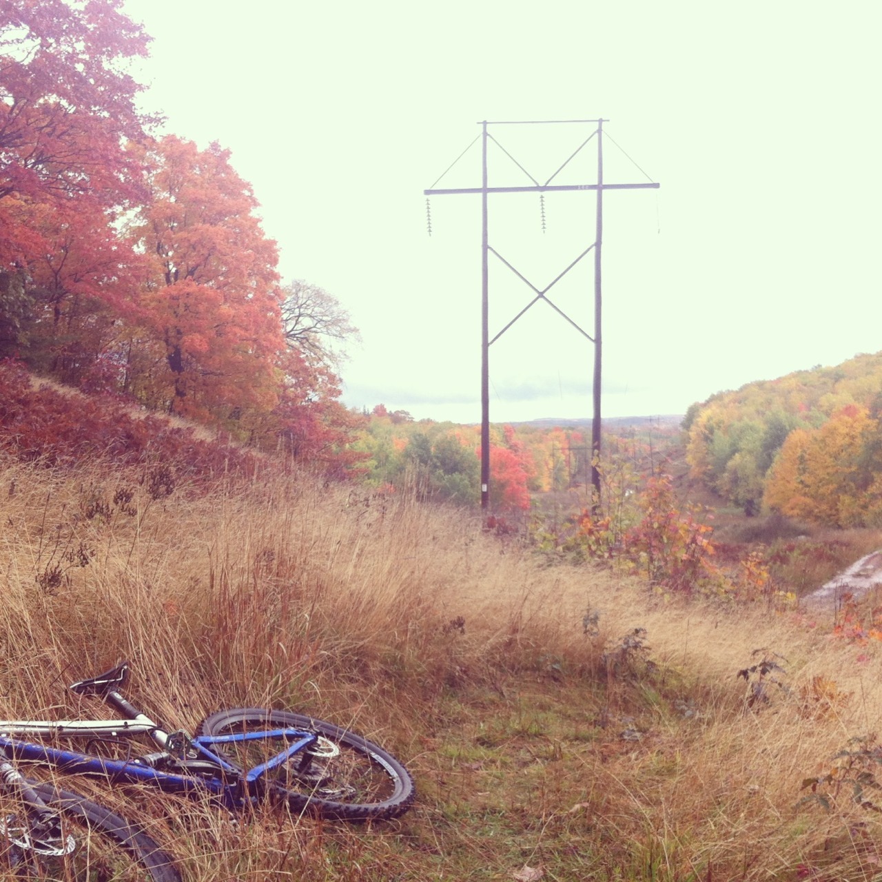 Fall colors in northern Michigan.