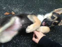 lifebender:  Tummy rubs for the baby.  She still has a leaf stuck in her mouth.