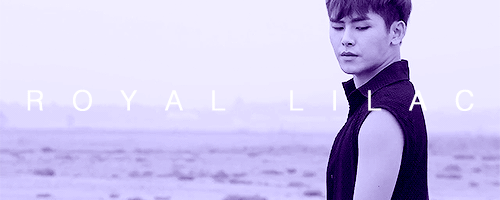 myungsoopermans:  THE COLOR OF INFINITE - B E  B A C K 