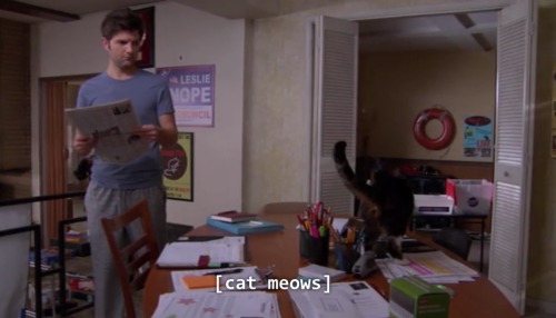 ben wyatt