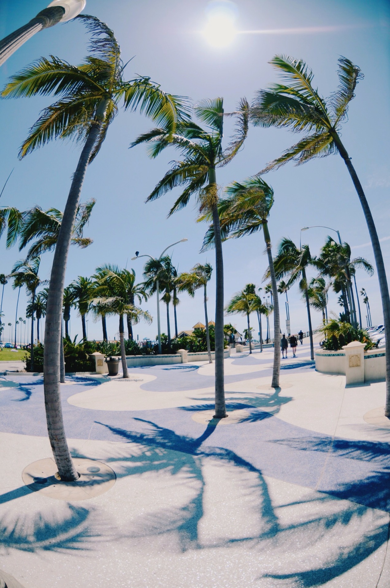 sassafranski:  too nice out today