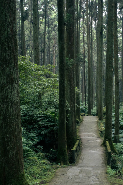 lifequards:  expressions-of-nature:  Taiwan by: 7 w d  x
