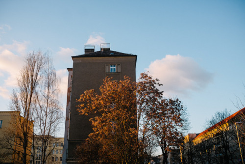 Golden Winter SunBerlin Friedrichshain, February 2018