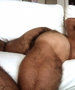 lowhung505:  hairymacho:  http://hairymacho.tumblr.com  FOLLOW LOWHUNG505 @ http:// lowhung505.tumblr.com Over 16,000 Followers! 