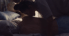 lezkissgifs: