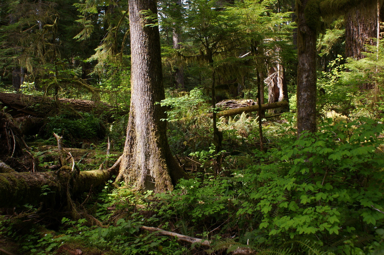 frommylimitedtravels:  Wandering in the deep…
