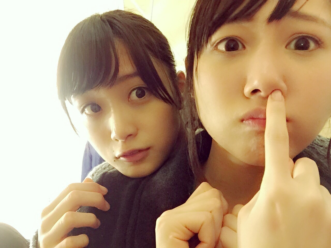 Nogifans