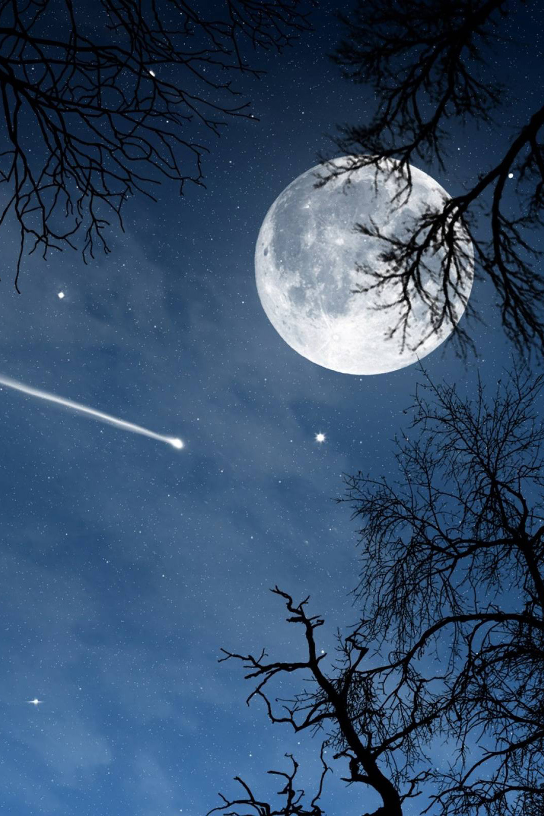 v1llain:  Moon Light at Midnight 