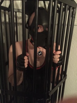 handlerdean:  Locked my pup @puppy-apollo up and left him for a bit , and hung him upside down at pup social 