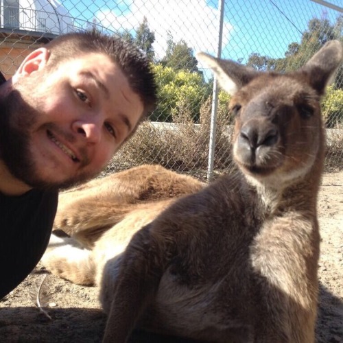 unstablexbalor: Zoo Enthusiast Kevin Owens