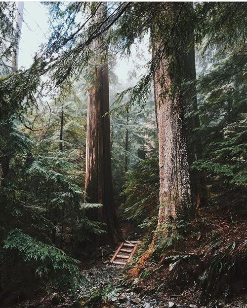folklifestyle:  Photo by @bertymandagie #liveauthentic #livefolk @folkmagazine 