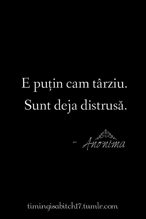 timingisabitch17:  Jurnalul Unei Anonime 