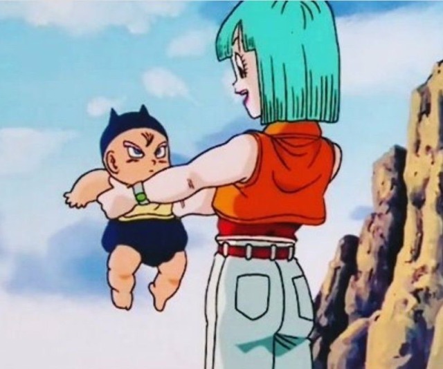 ✨BULMA & BABY TRUNKS✨