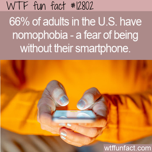 WTF Facts : funny, interesting & weird facts