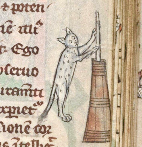 Cats + Art